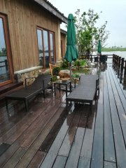 杭州湾西溪湿地公园